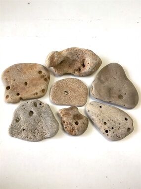 Holey Hag Stones Set of 7 Naturally Formed Florida Beach Rocks Coastal Decor